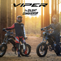 Viper - Image 11